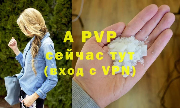 МДПВ Валдай