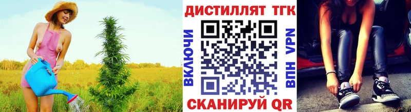 сколько стоит  Дно  Дистиллят ТГК гашишное масло 