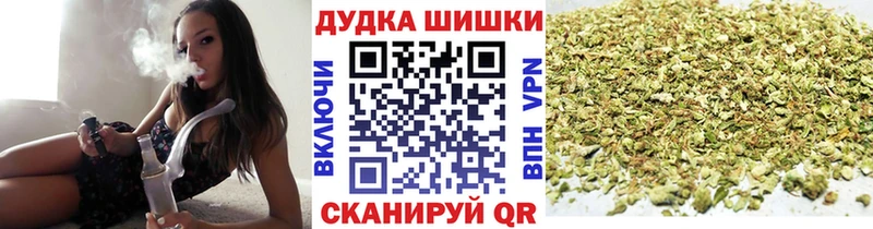 купить   Дно  Конопля семена 